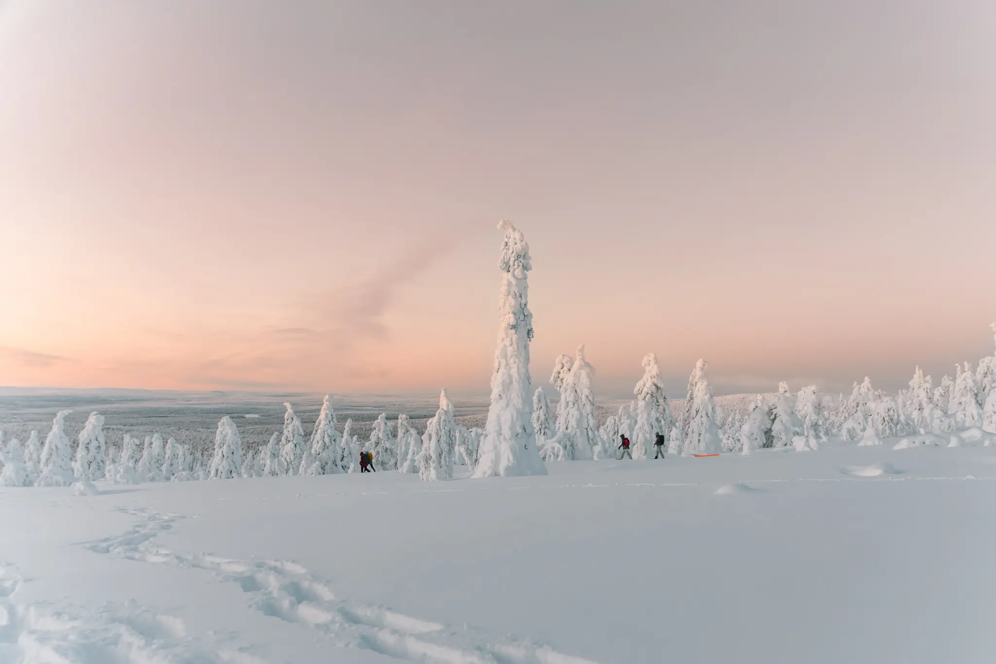 Van Lapland tot IJsland: 4x Noordelijke winterreizen