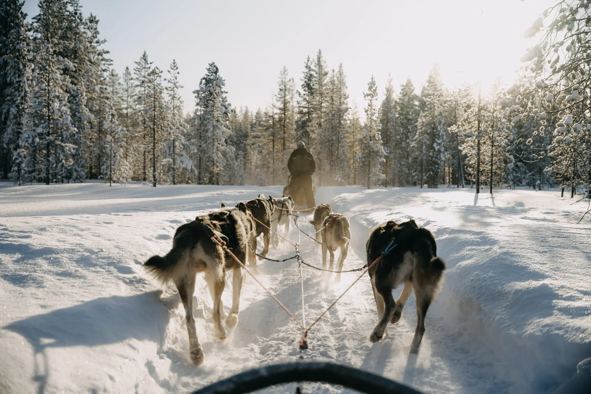 https://blog.travelbase.eu-content/uploads/sites/2/2022/10/Lapland_EvyvanNispen_Akaslompolo_HR-183-980x653.jpg