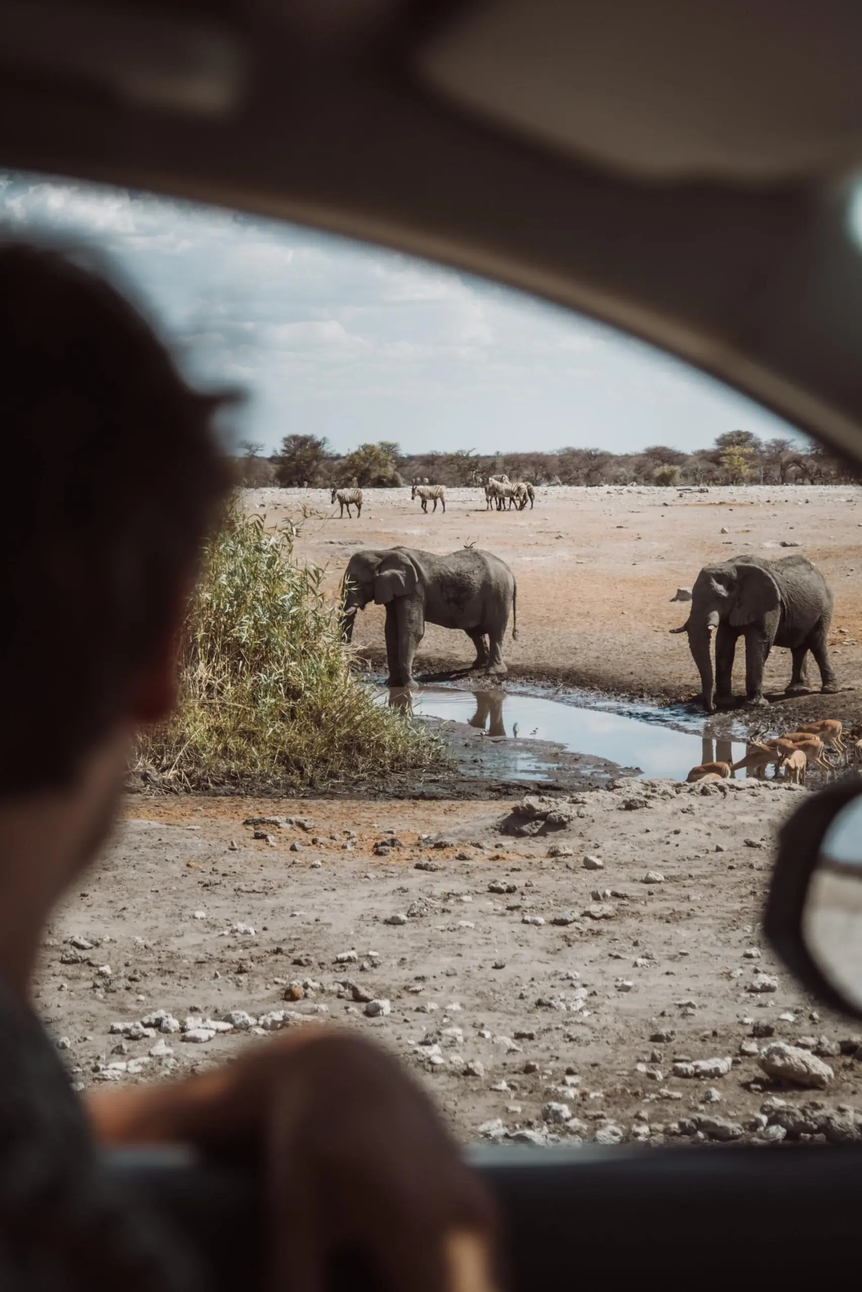 : deze hotspots moet je bezoeken in Namibië