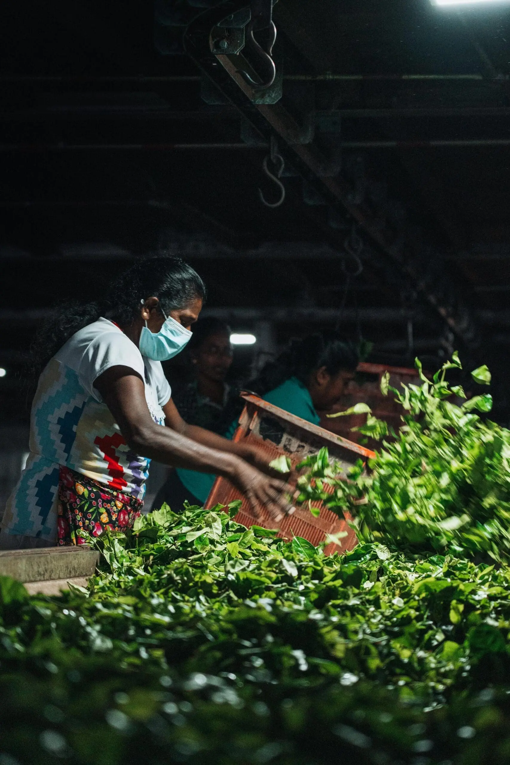 5 activiteiten die je niet mag overslaan in Ella, Sri Lanka