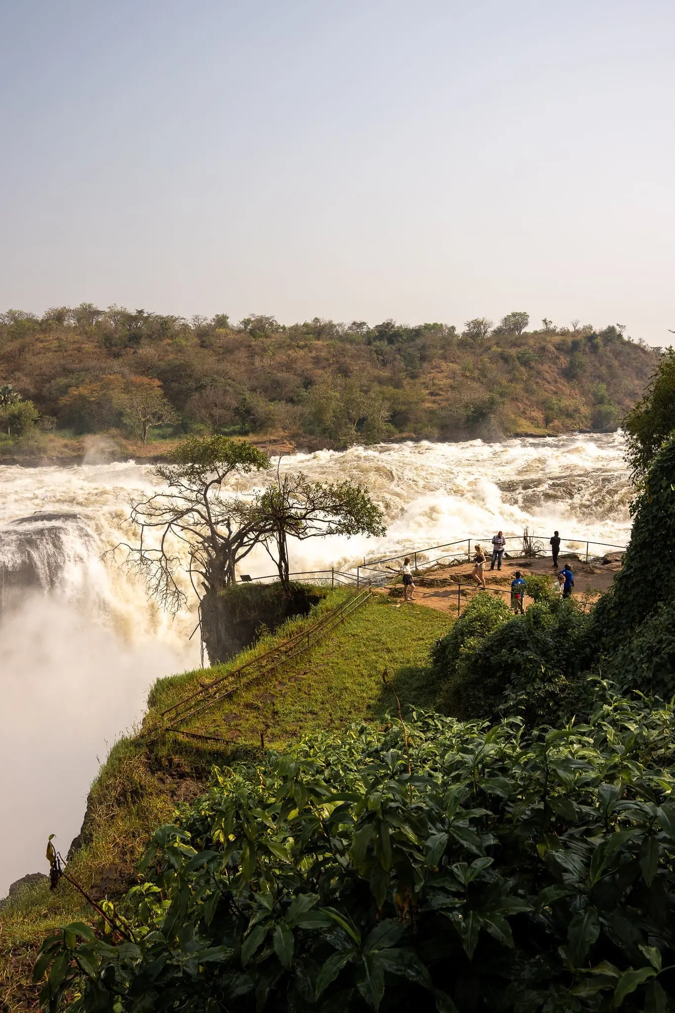 chutes murchison