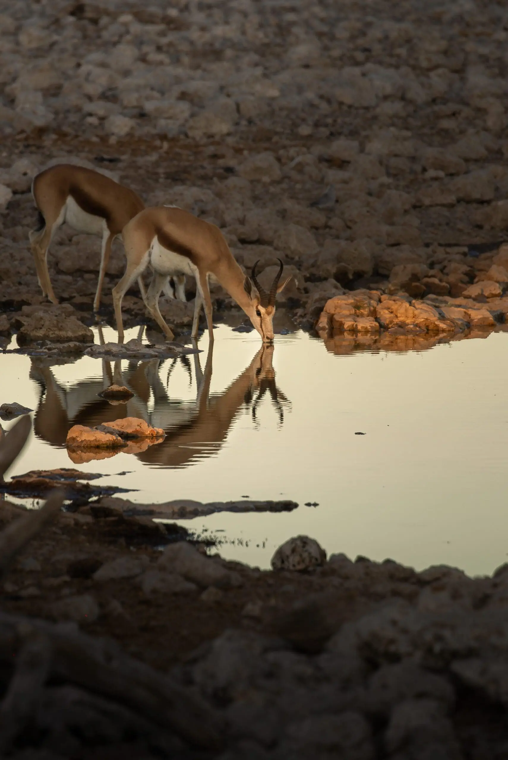 Namibie Nomads