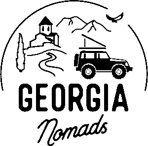 Logo Georgia Nomads