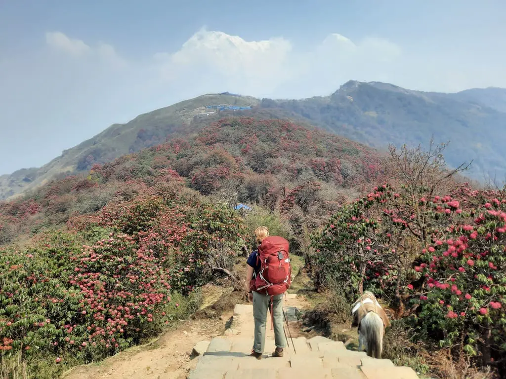 WeAdventures - Nepal