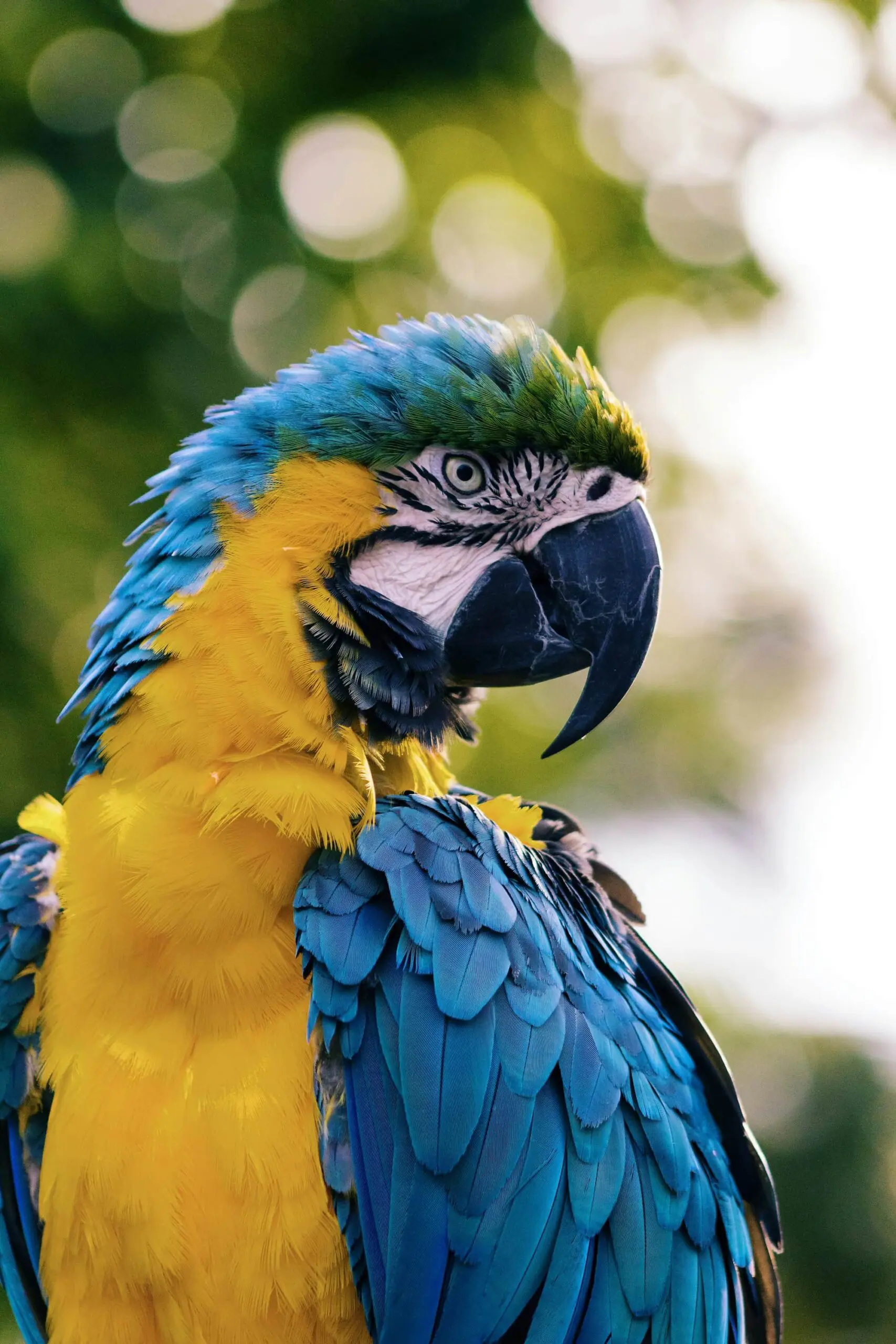 reizen brazilie - weadventures brazilie - travelbase brazilie - rondreis brazilie - groepsreis brazilie