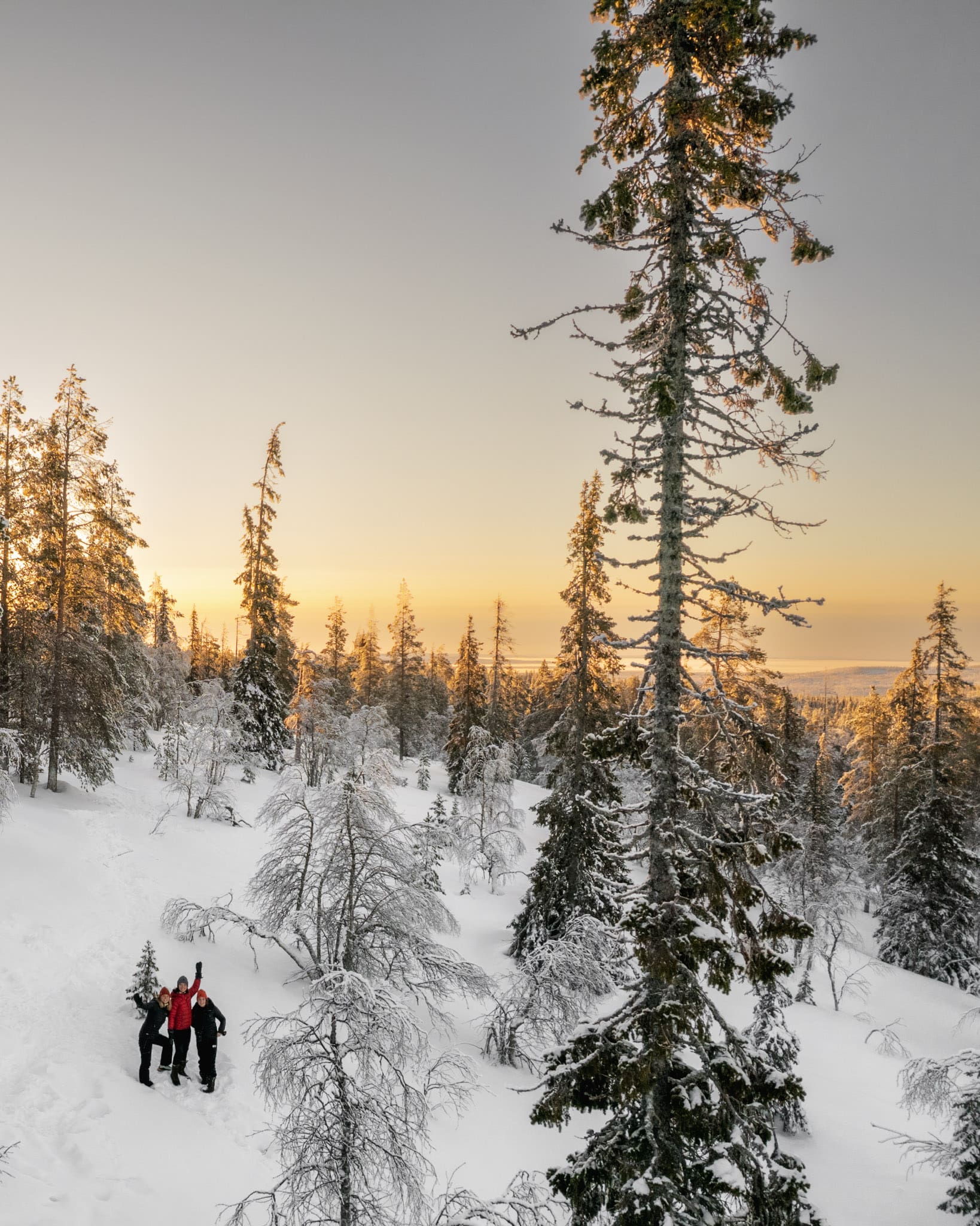 Reizen naar Lapland: Wat is de beste maand?