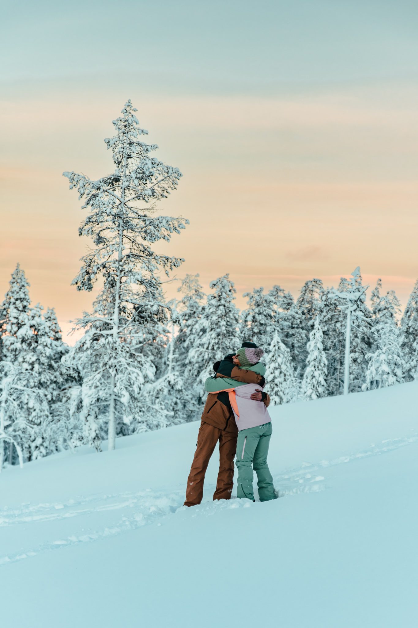 fins lapland
