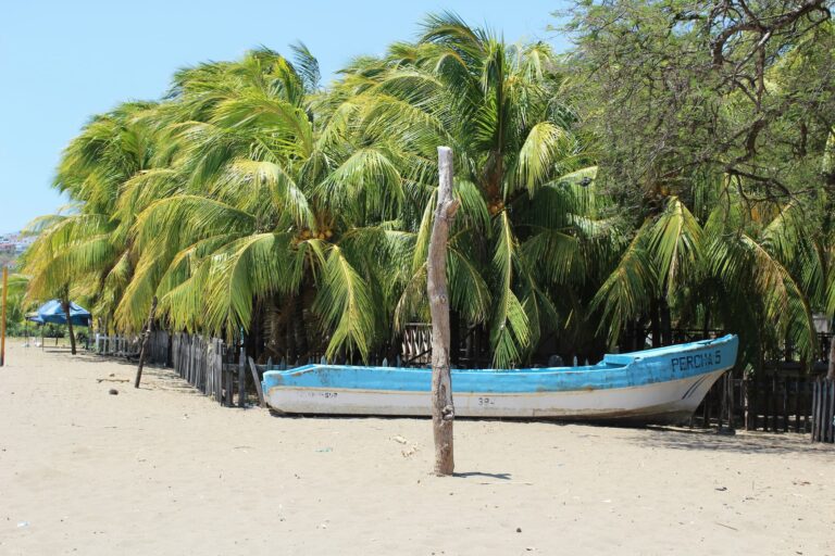 Nicaragua strand palmbomen