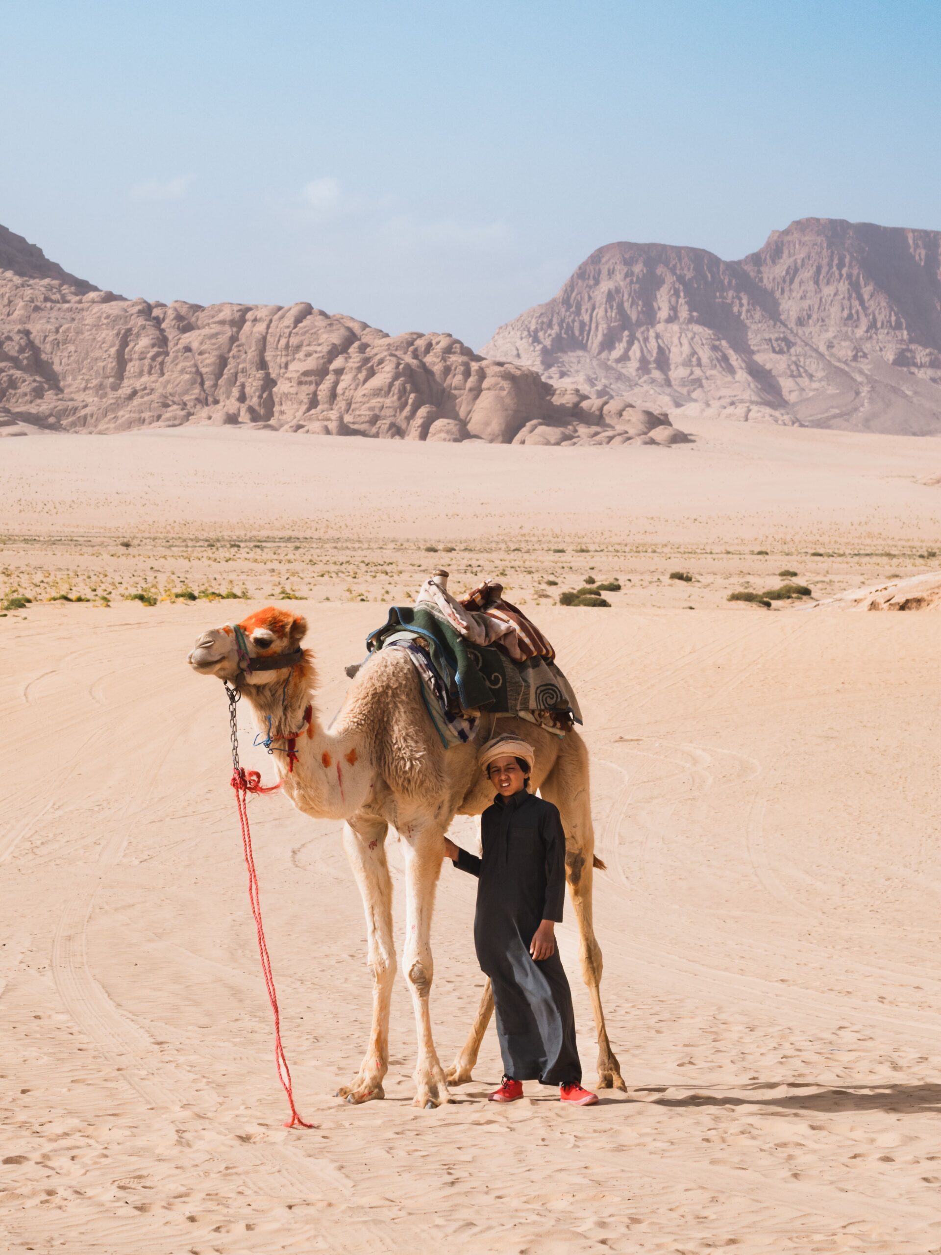 chameau et bédouin désert wadi rum jordanie