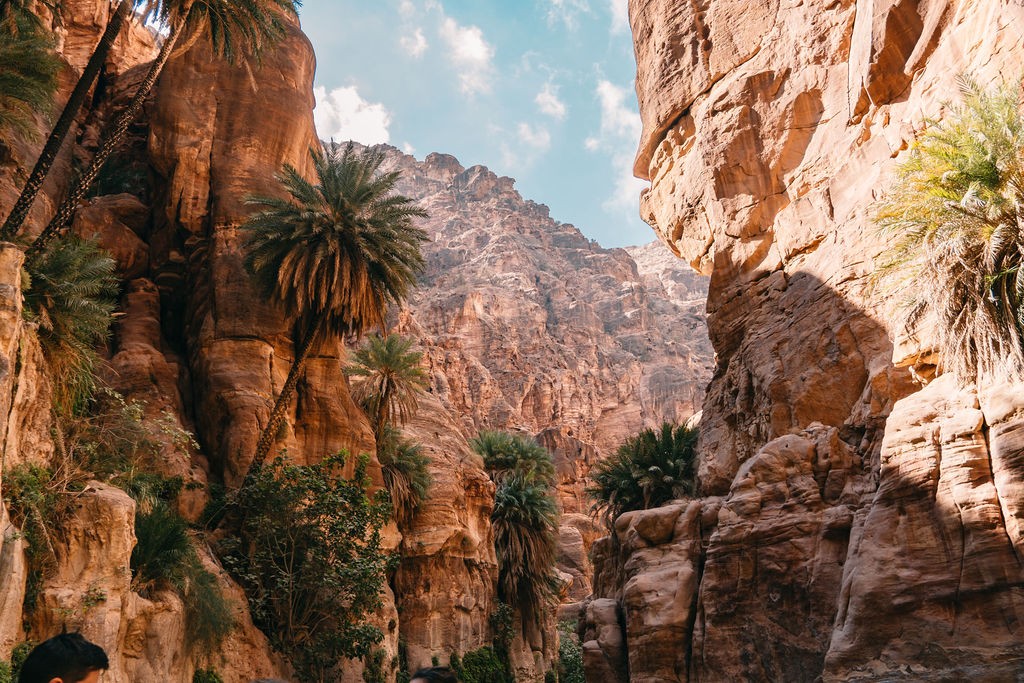 canyon trek jordanie