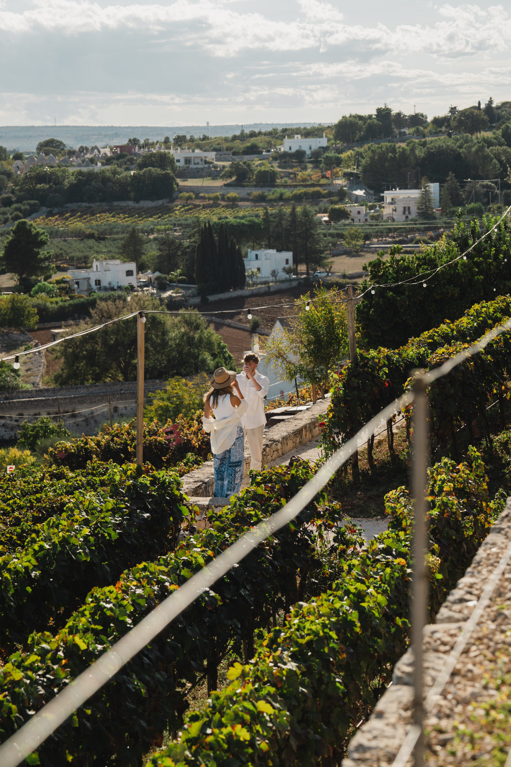 Vineyards in Italy