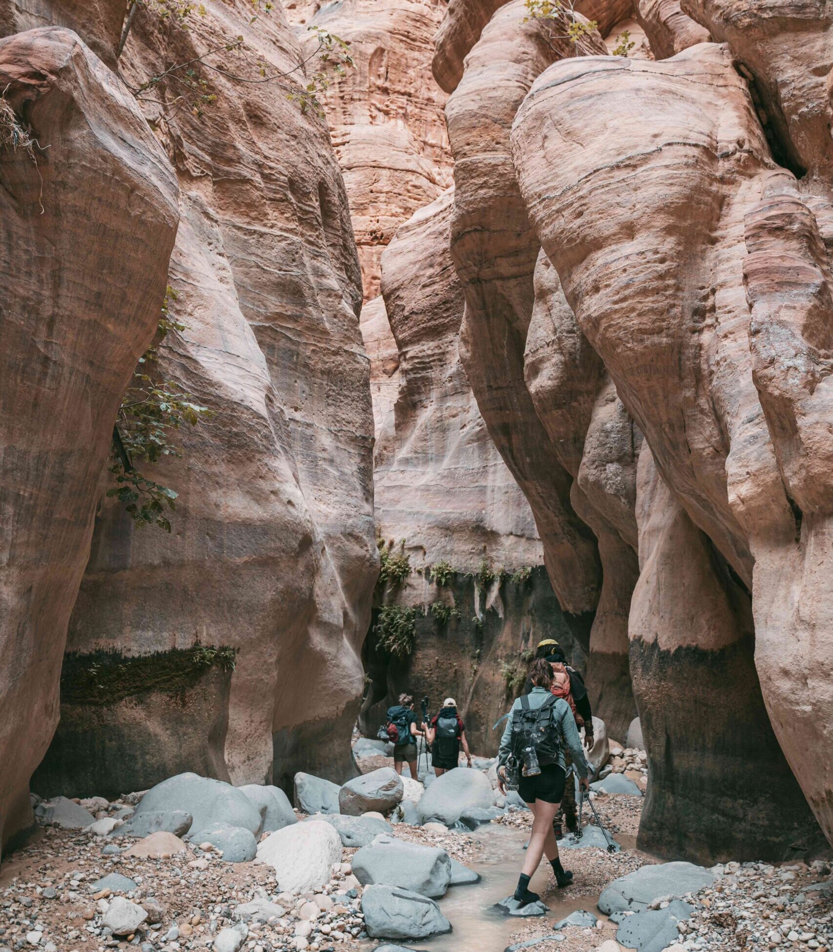 canyon wadi mujib jordanie