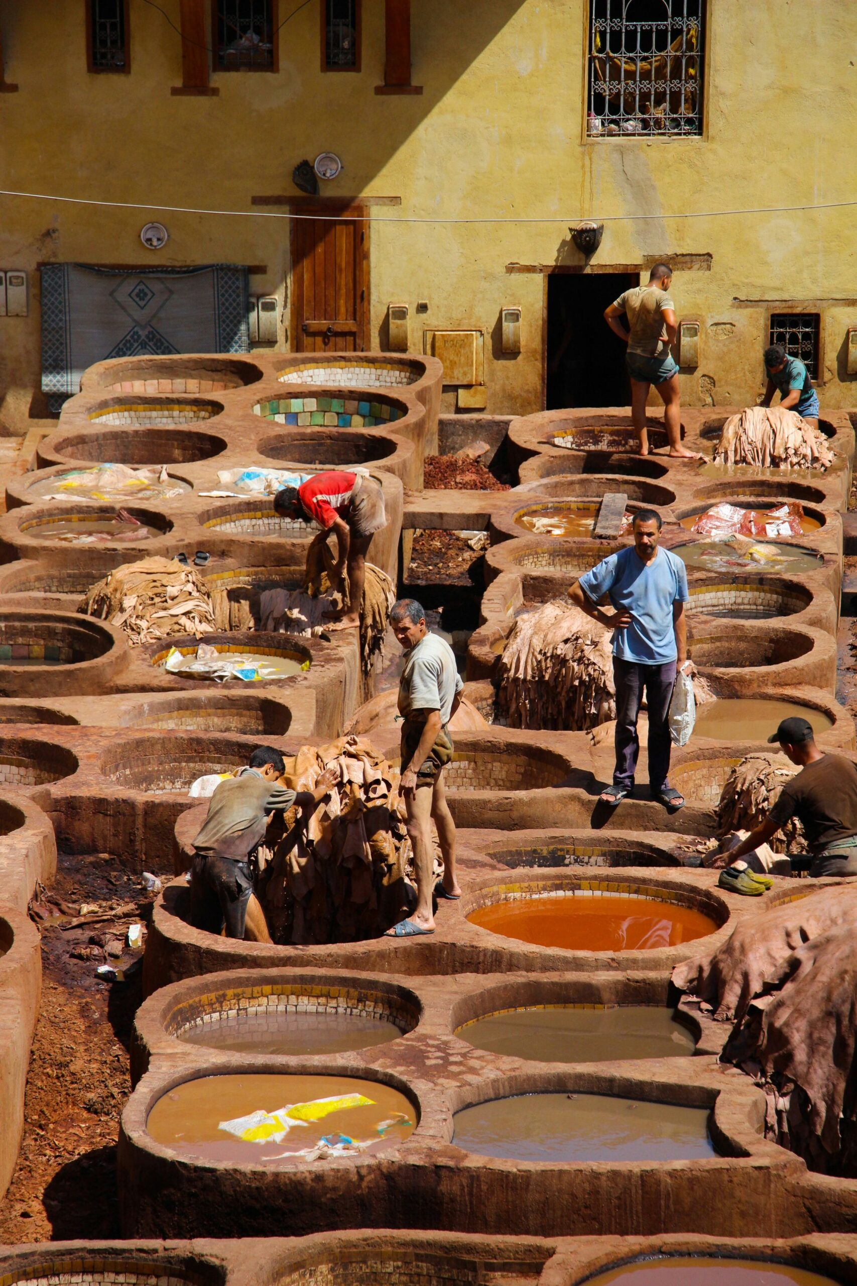 tannerries fès ville impériale maroc