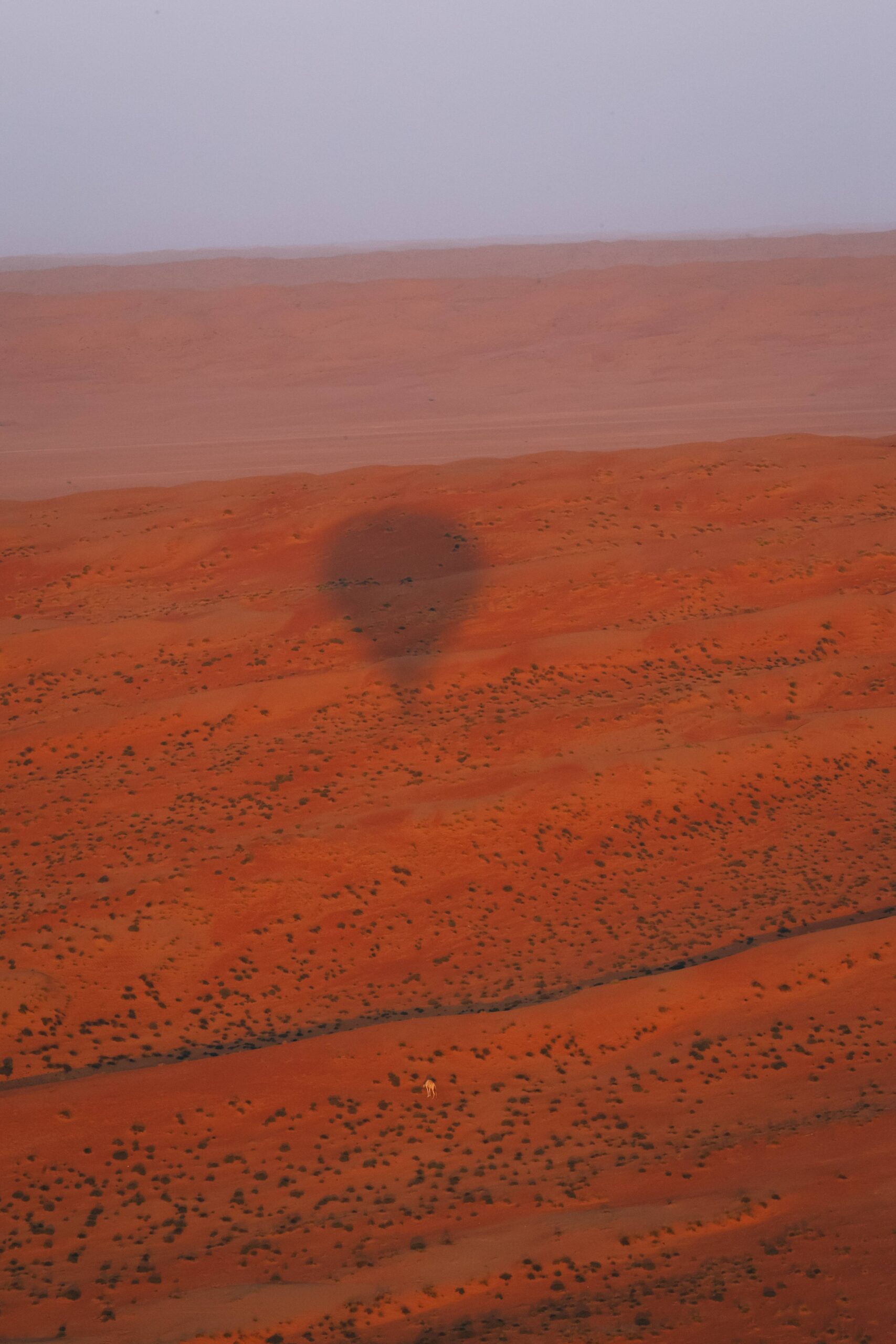 vol montgolfière désert oman