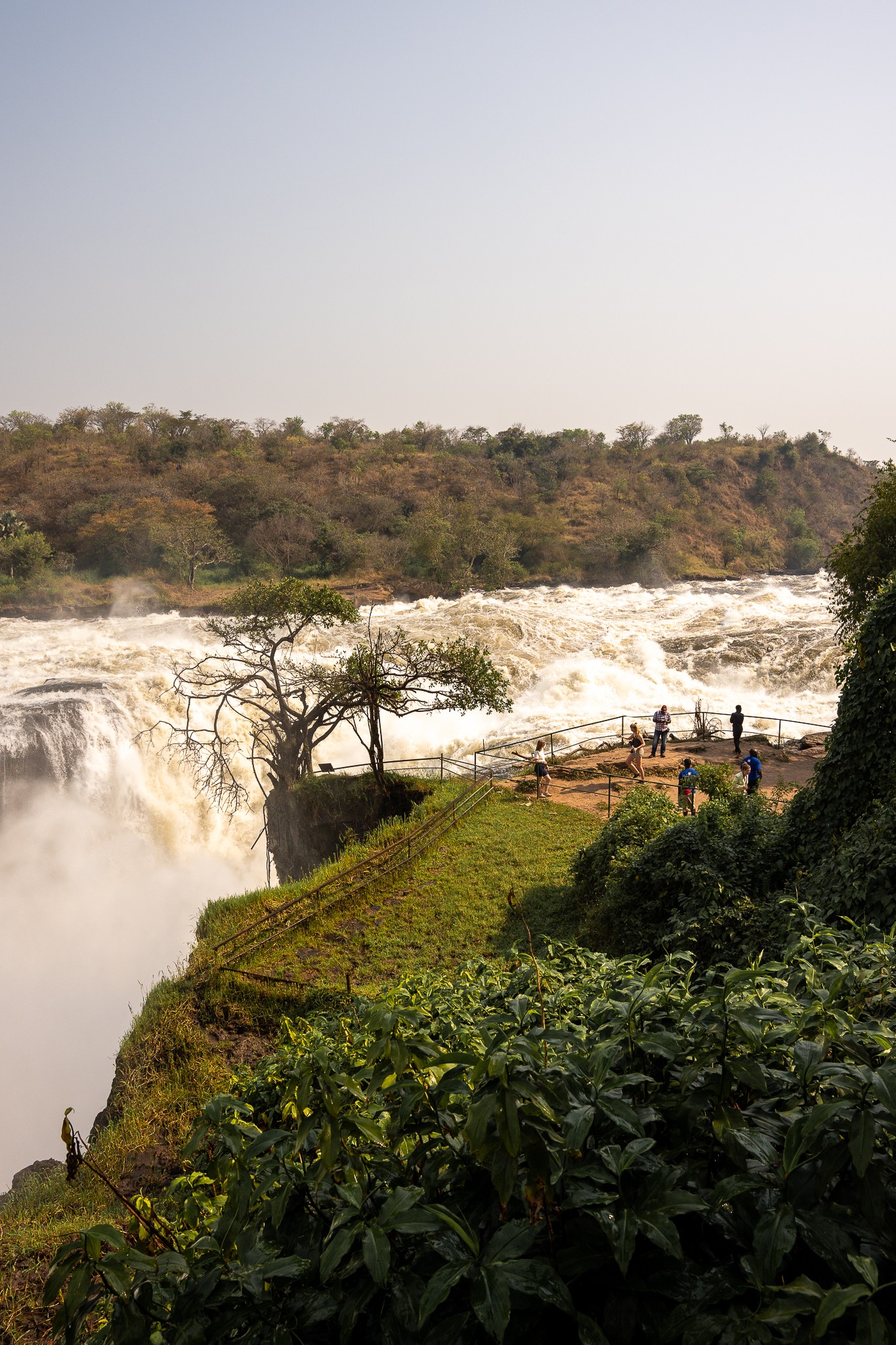 chutes murchison