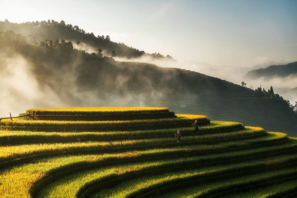 groepsreis vietnam - rondreis vietnam