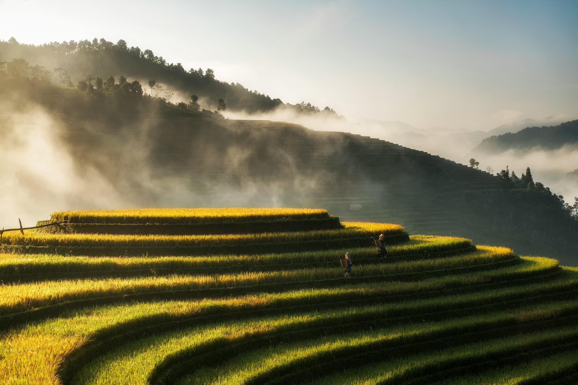 groepsreis vietnam - rondreis vietnam