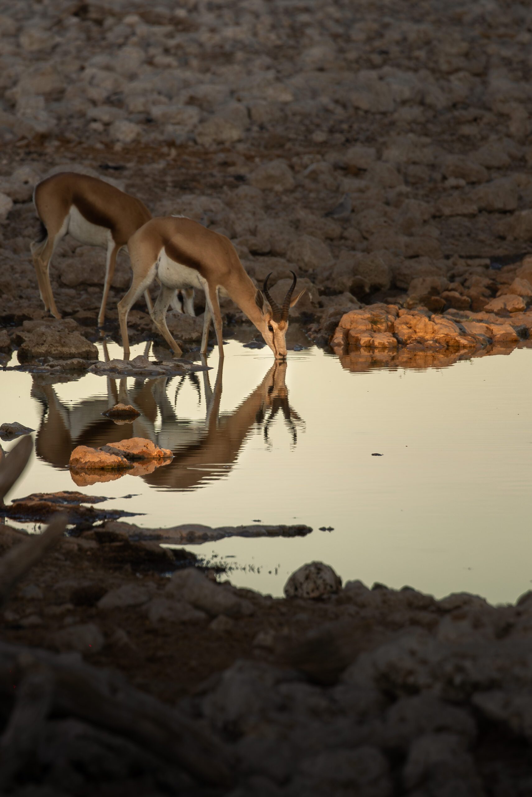 Namibie Nomads