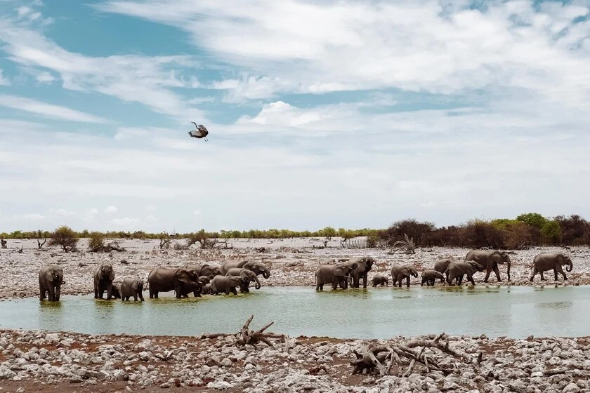 namibie nomads