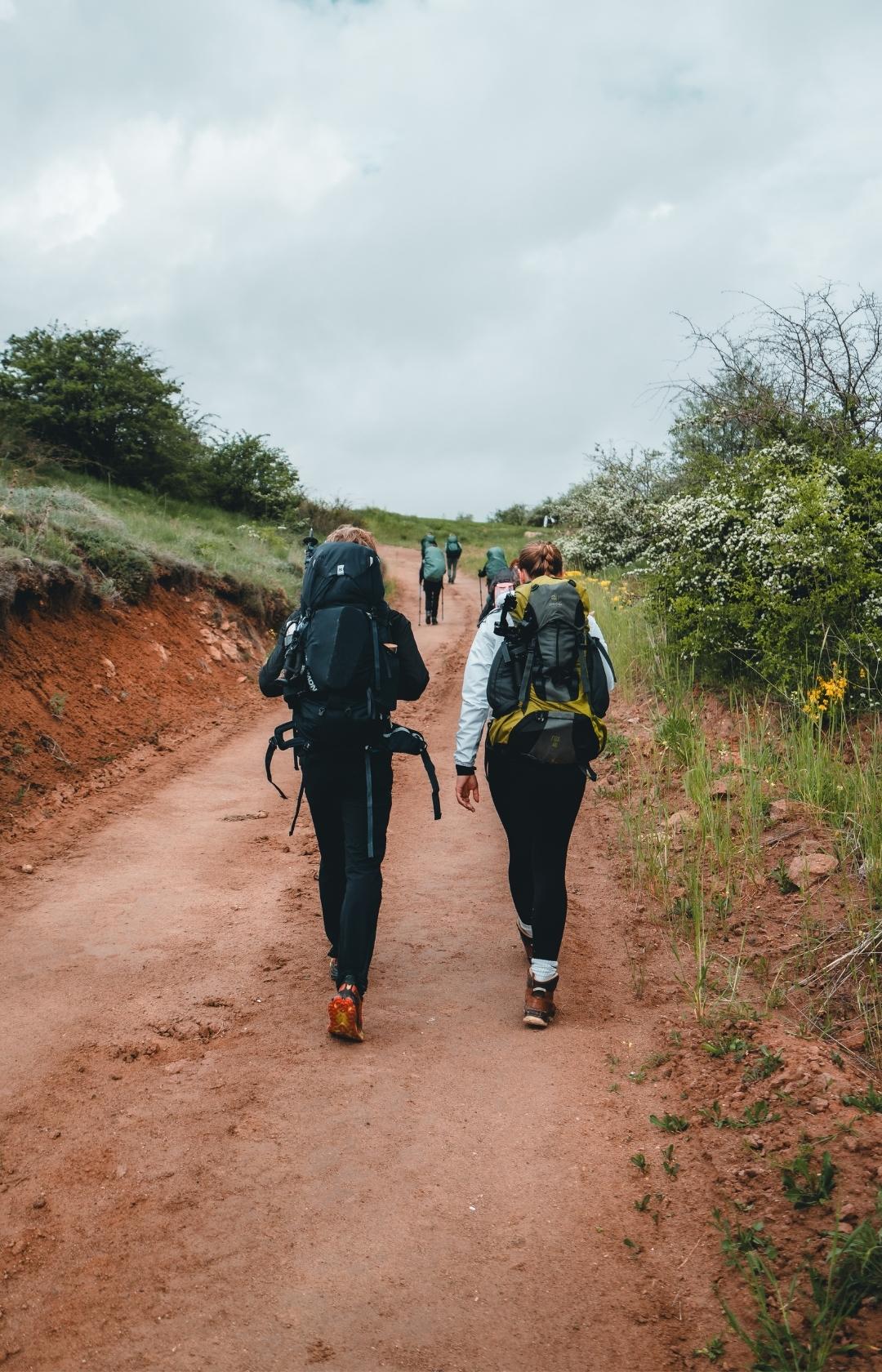 Wandelschoenen