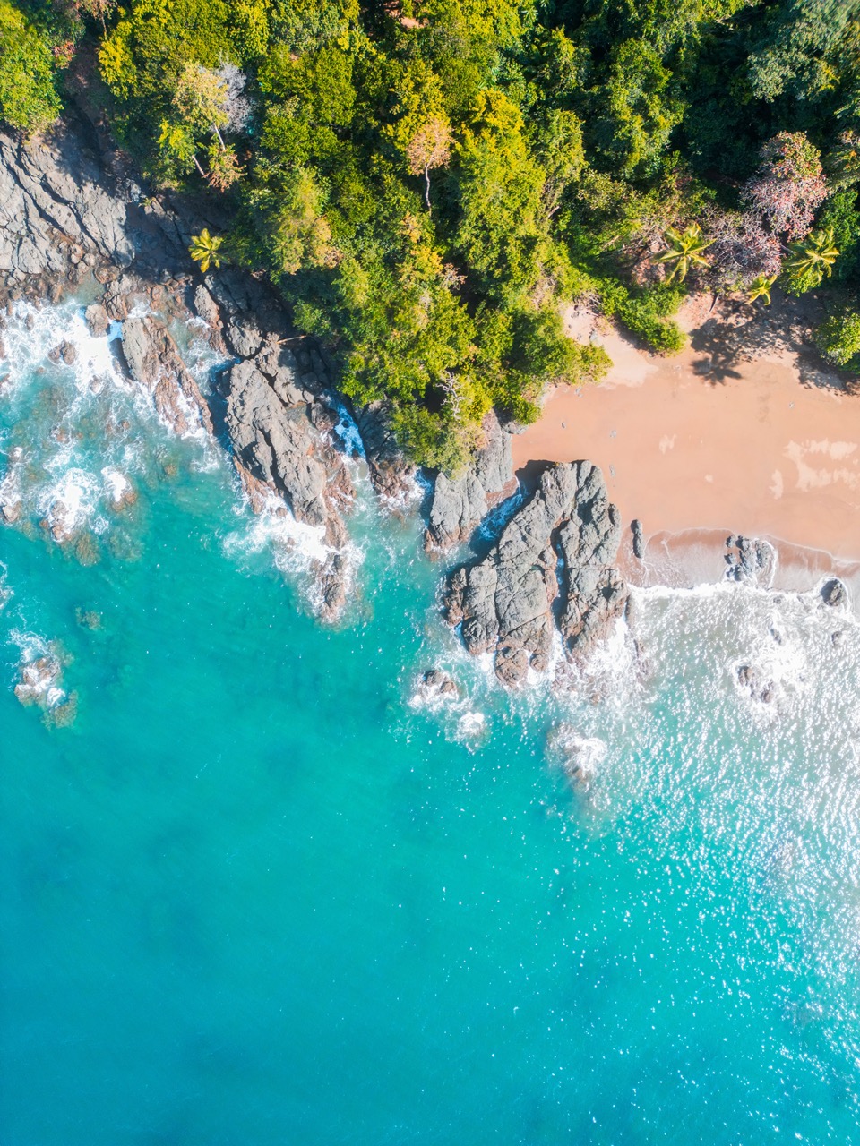 Costa Rica Nature