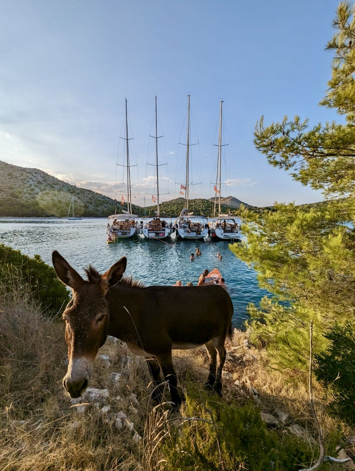 WA Kroatië groepsreis_groepsreis Kroatië