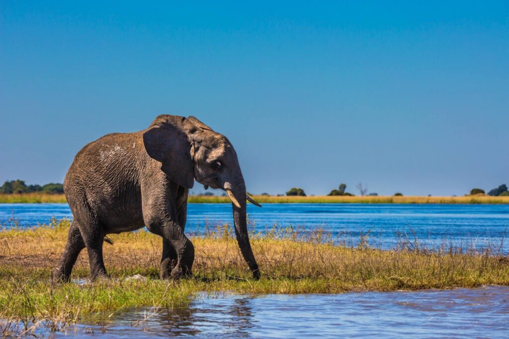 Groepsreis Botswana