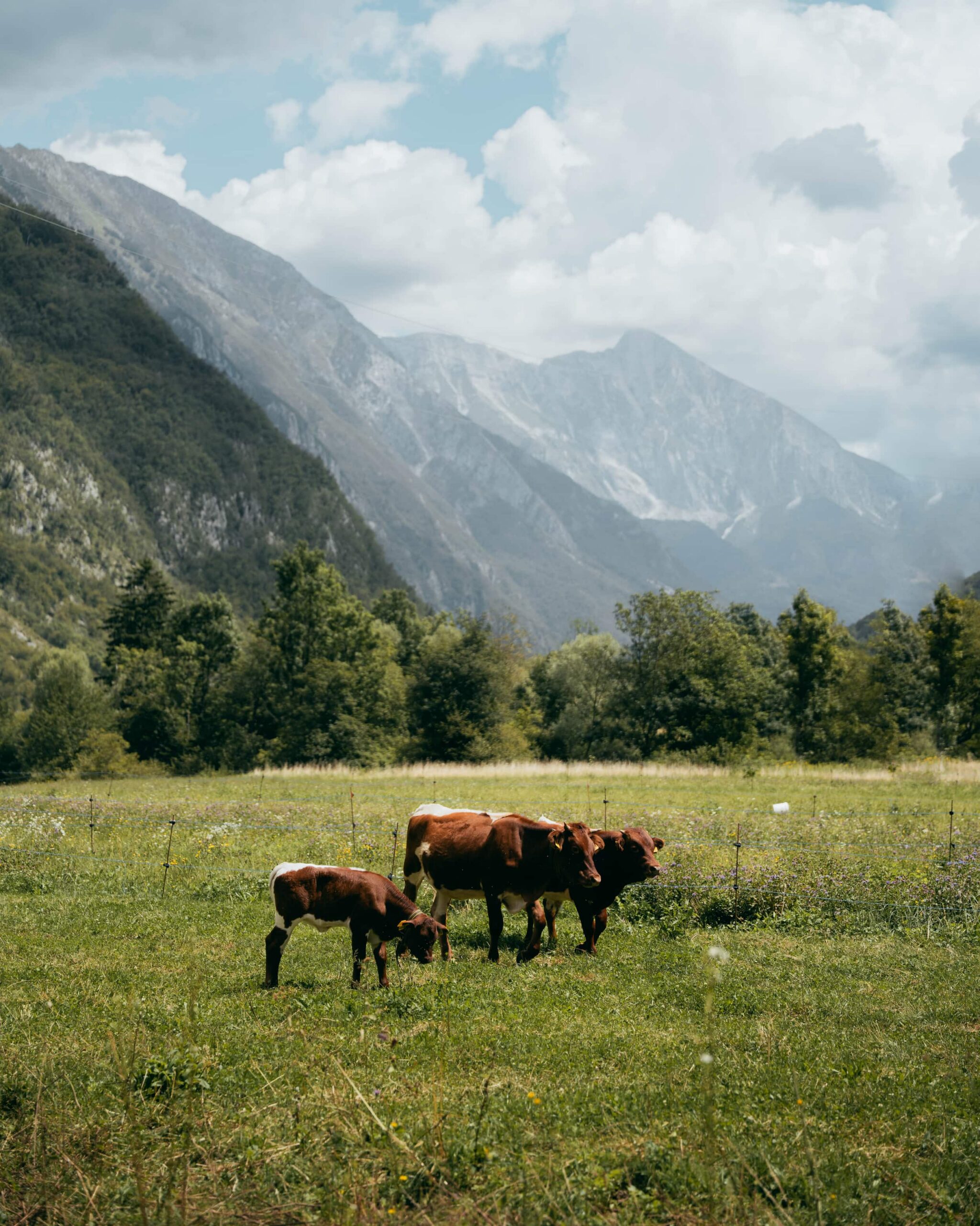 Slovenië groepsreis_groepsreis Slovenië packraft