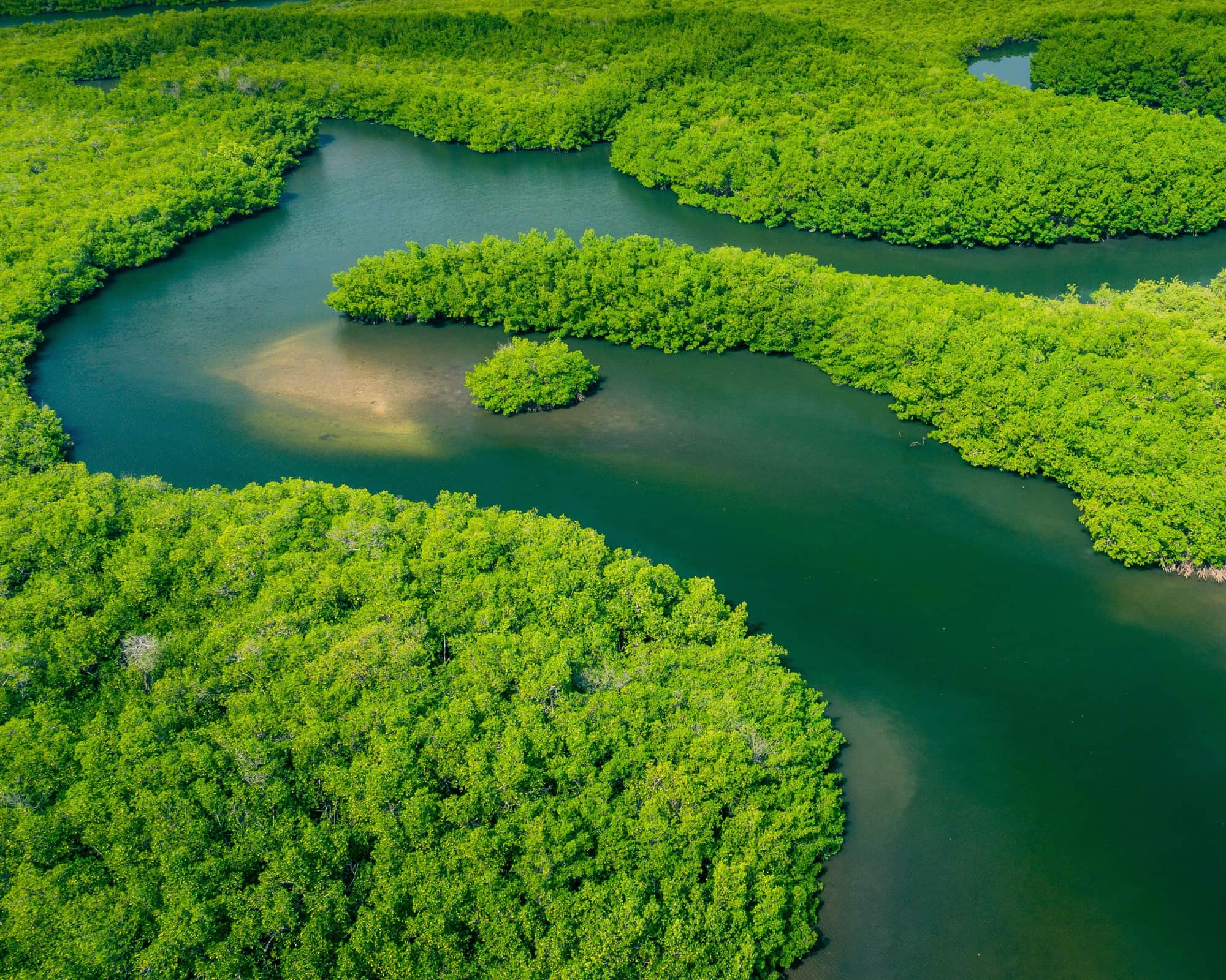 reizen brazilie - weadventures brazilie - travelbase brazilie - rondreis brazilie - groepsreis brazilie
