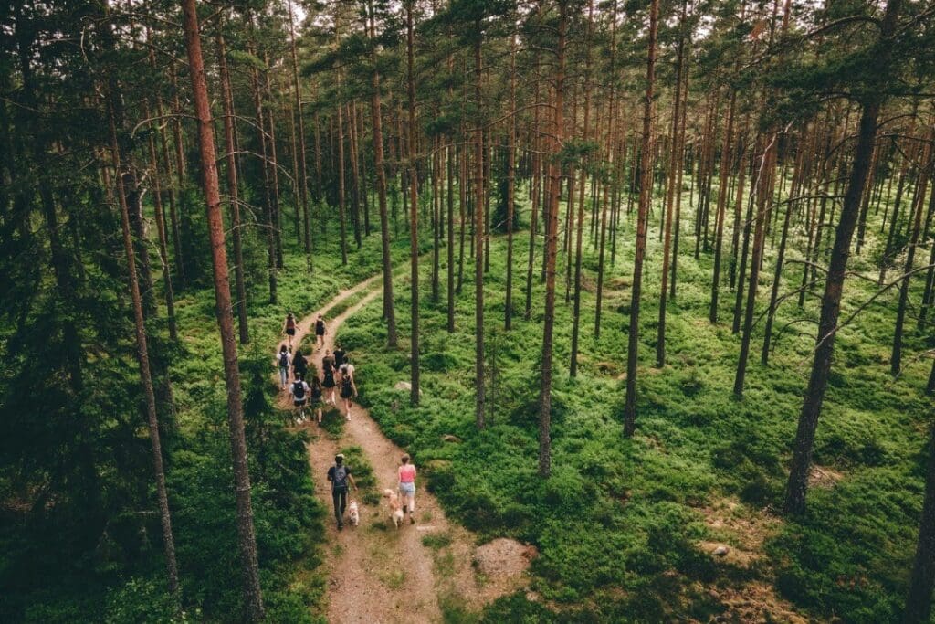 Hike Tribe Zweden