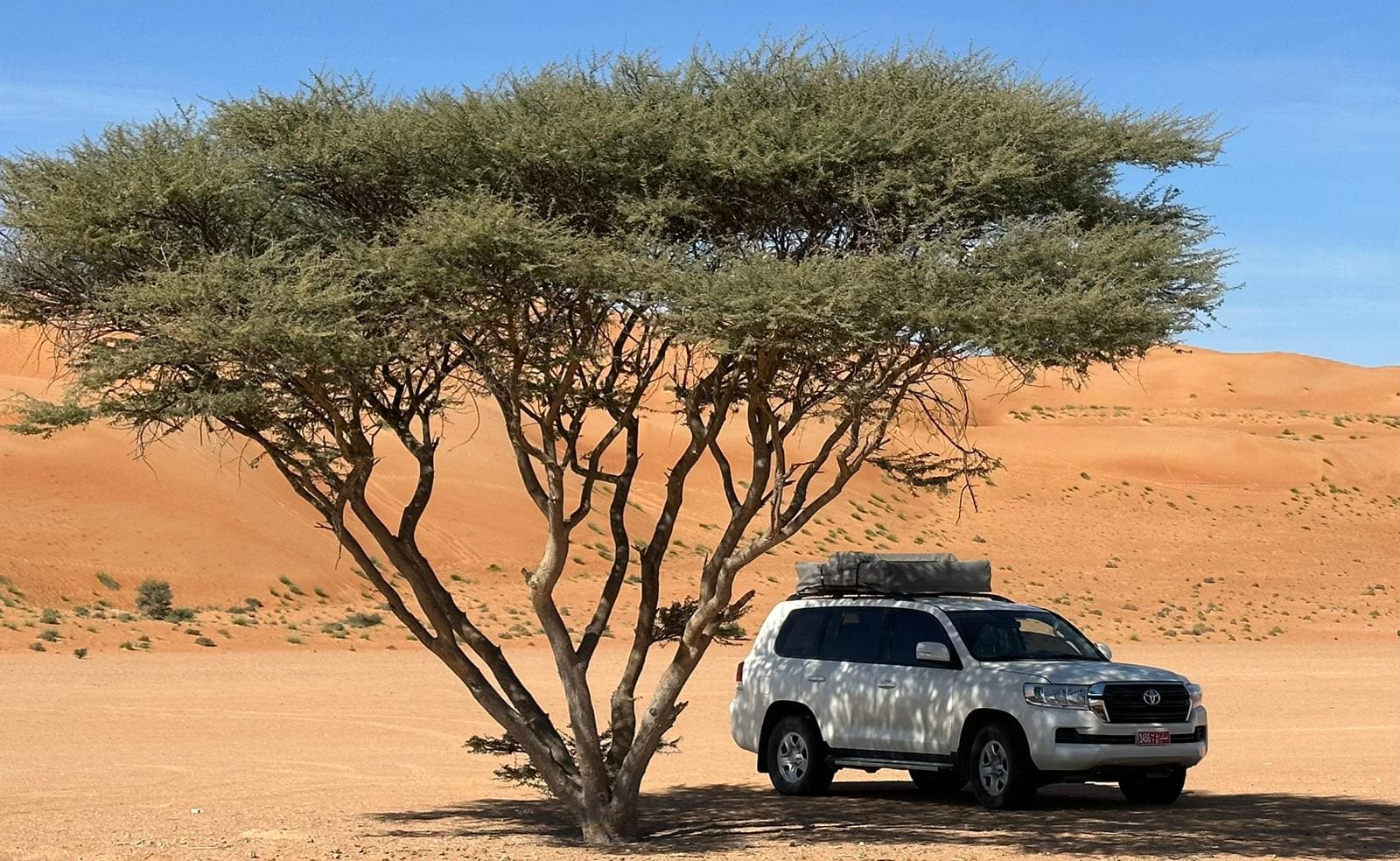 oman daktent reis woestijn