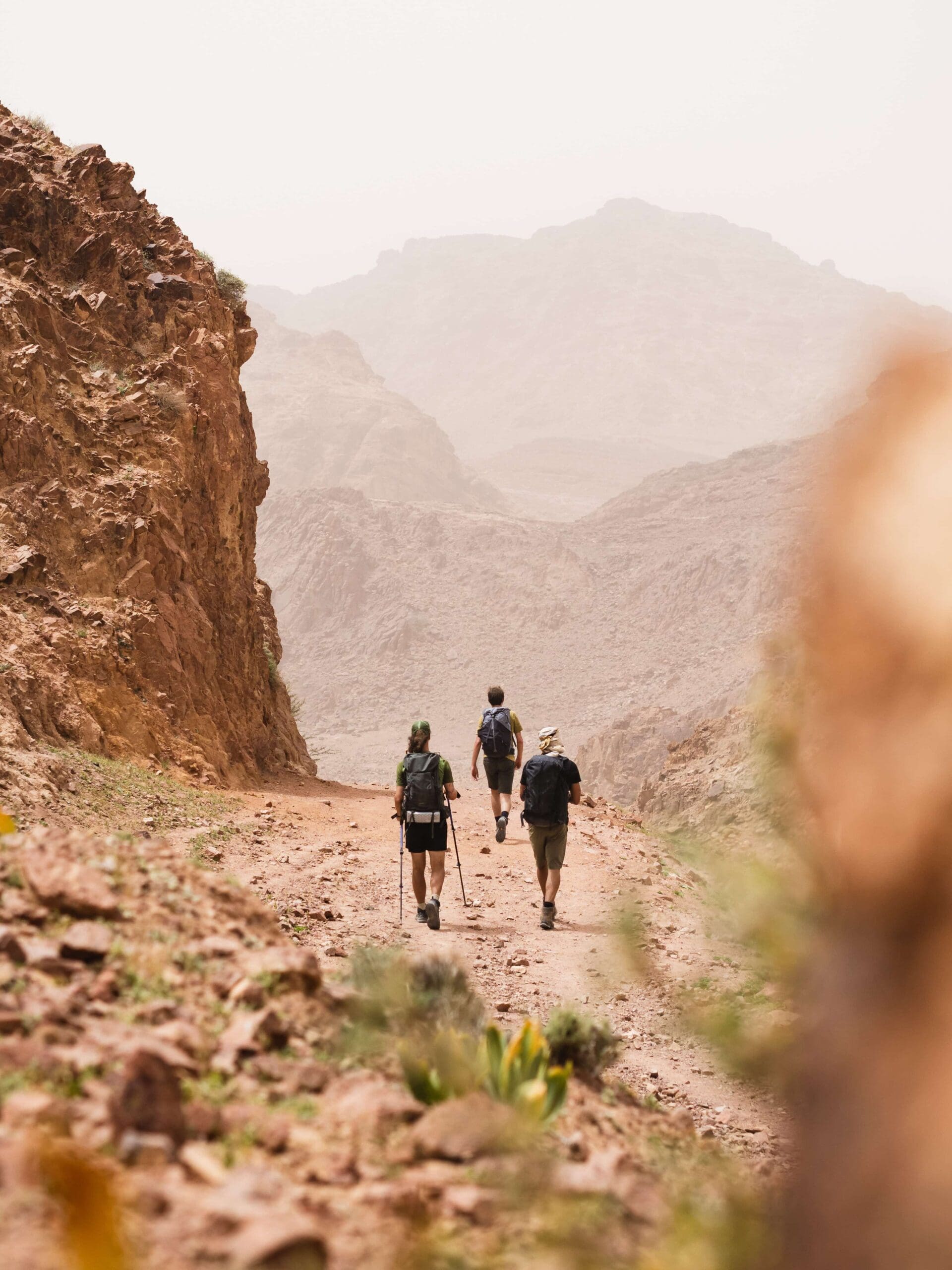 the jordan trail reis jordanie
