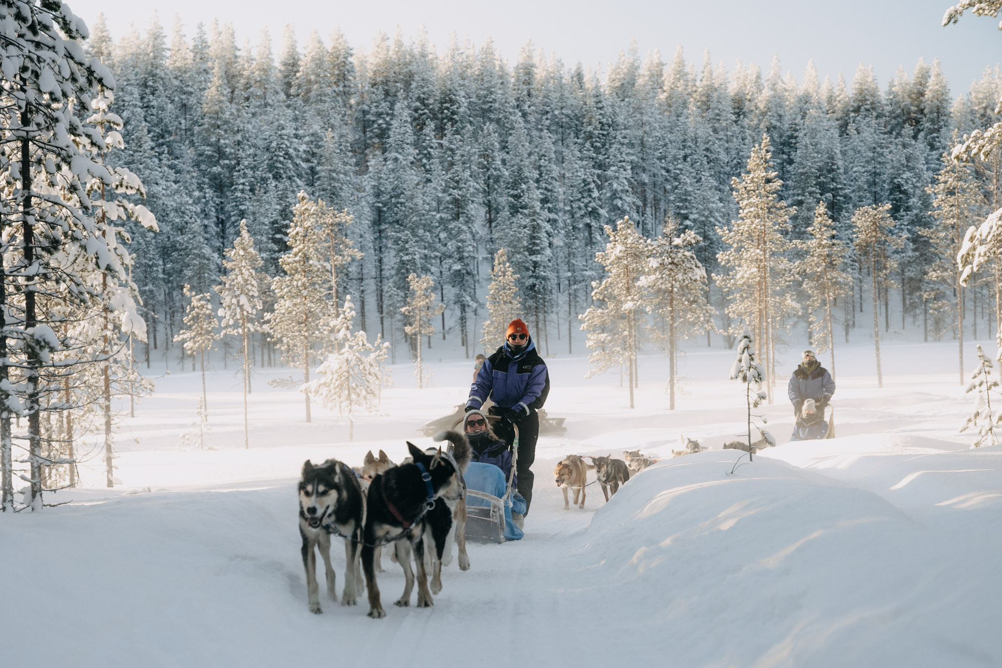 Alles wat je moet weten over huskytochten in Lapland