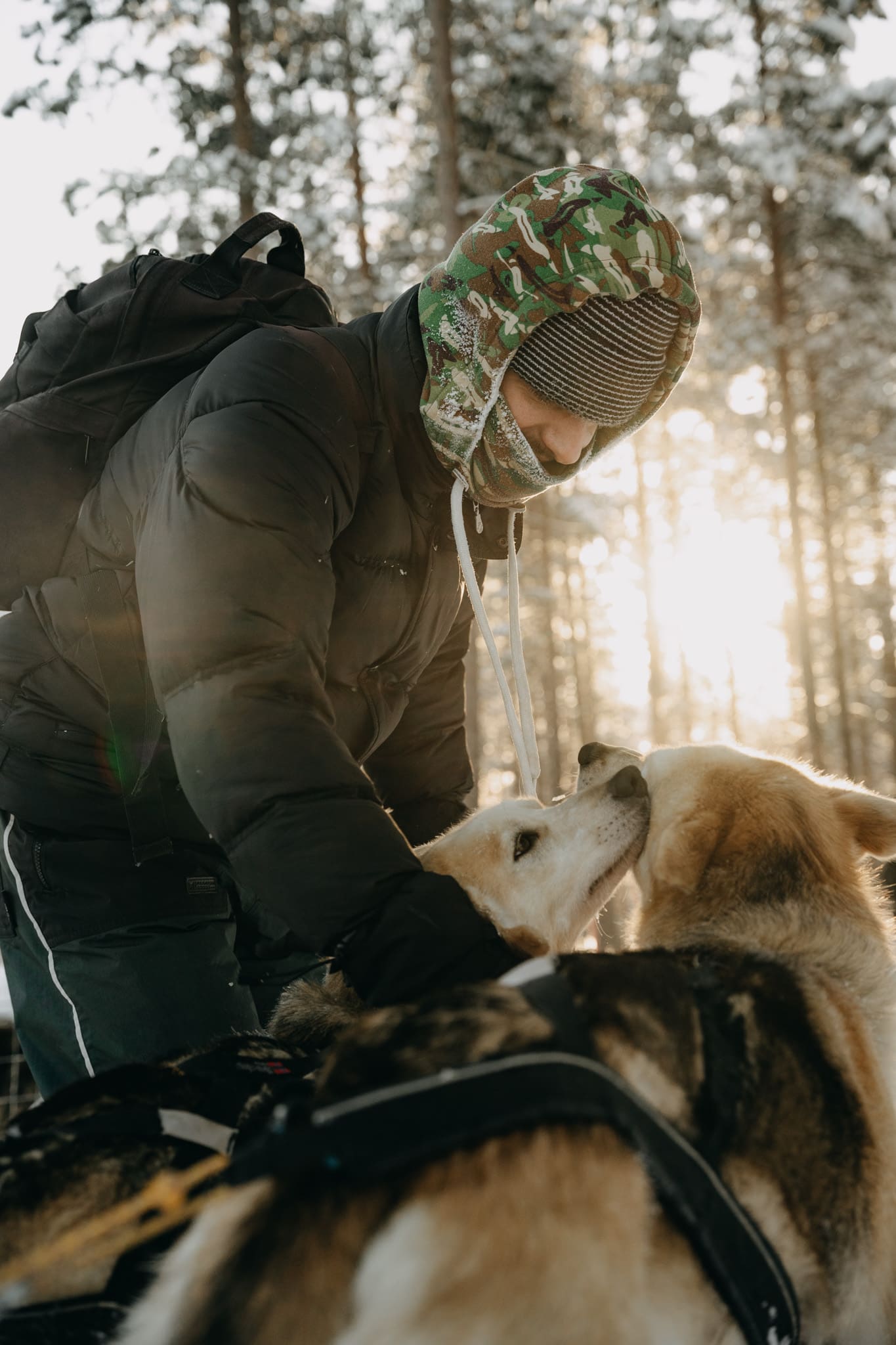 10 activités à faire absolument en Laponie