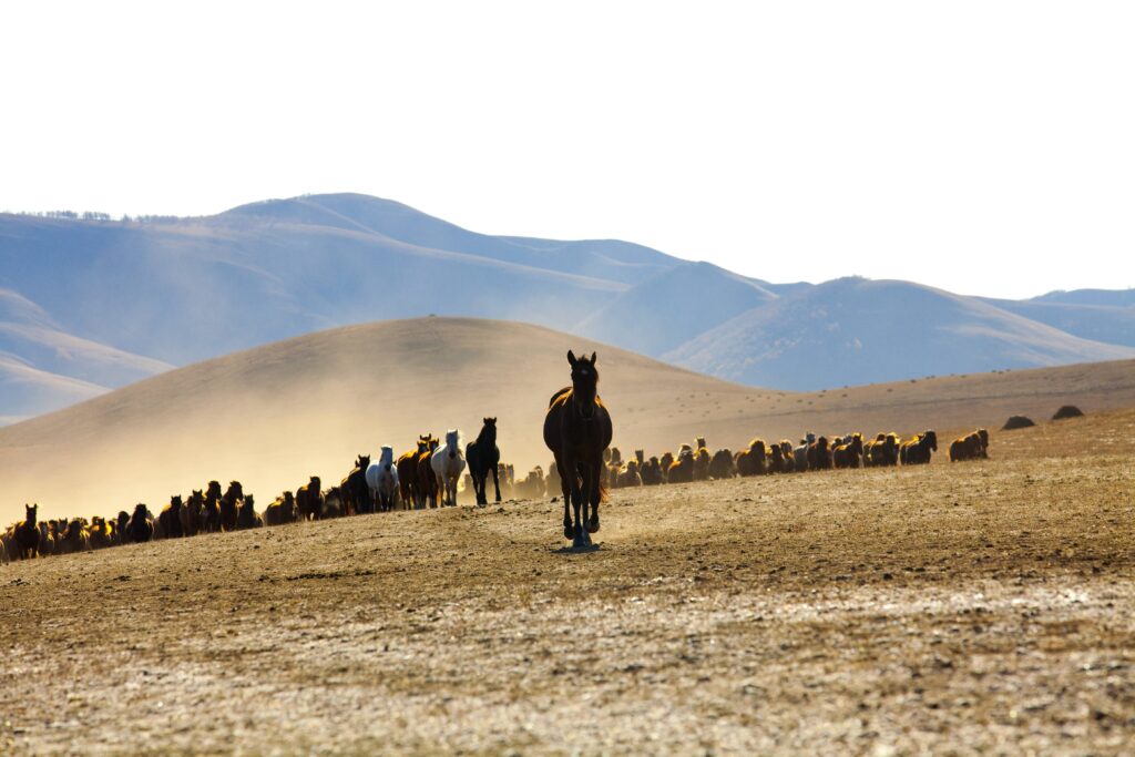 WeAdventures Kirgizië